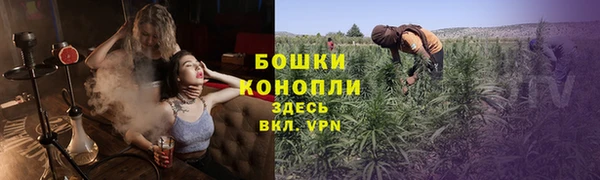 мет Арсеньев