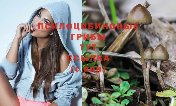 дурь Аркадак
