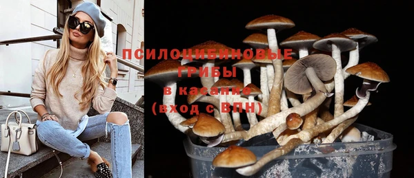дурь Аркадак