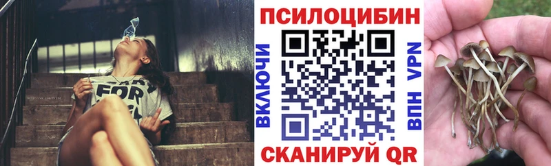 Псилоцибиновые грибы MAGIC MUSHROOMS  даркнет сайт  Голицыно 